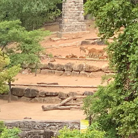 Vista Frontal Zoo Apartman *