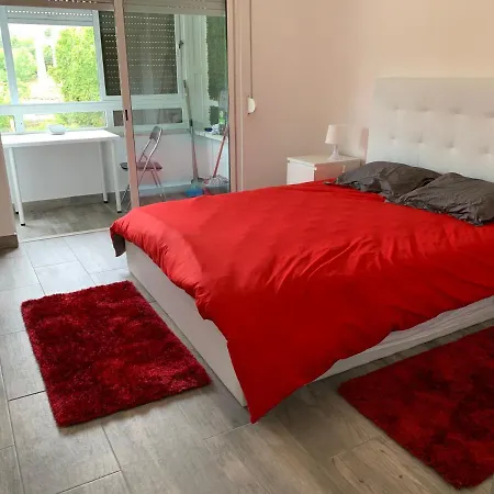 Vista Frontal Zoo 公寓